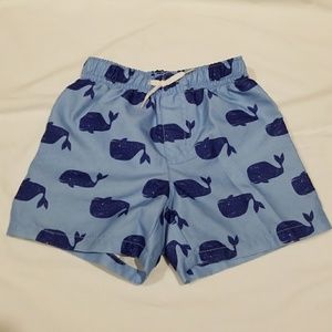 Toddler swimming trunks